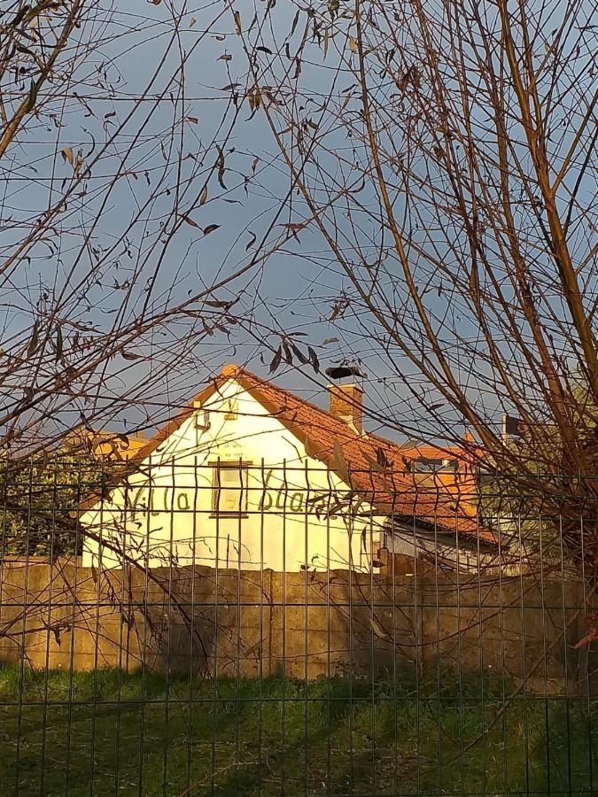 Villa Blanco Opwijk Dış mekan fotoğraf